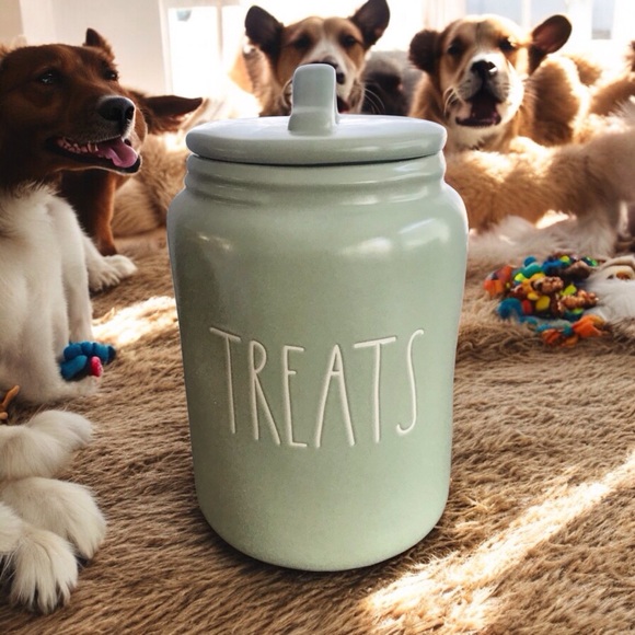 Rae Dunn Other - Rae Dunn Treats Canister